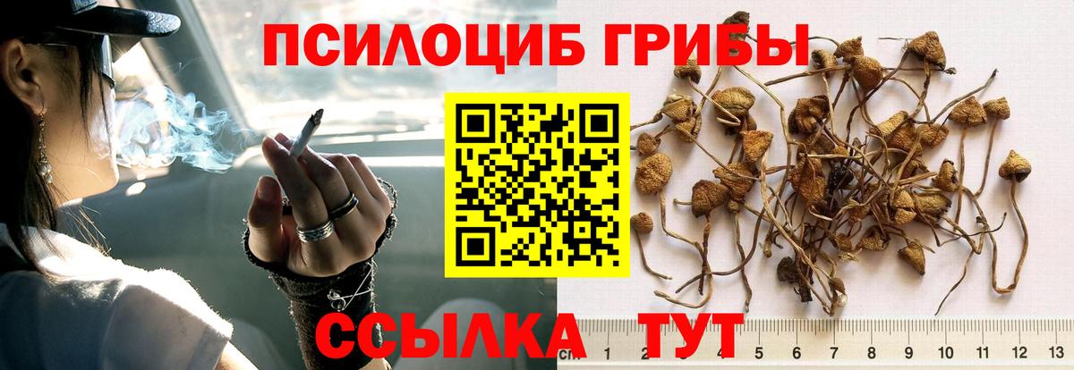 Галлюциногенные грибы прущие грибы  Псилоцибиновые грибы Magic Shrooms  магазин продажи наркотиков  Чайковский  Вход с VPN 