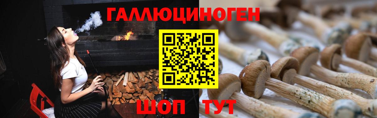 Галлюциногенные грибы мухоморы Чайковский